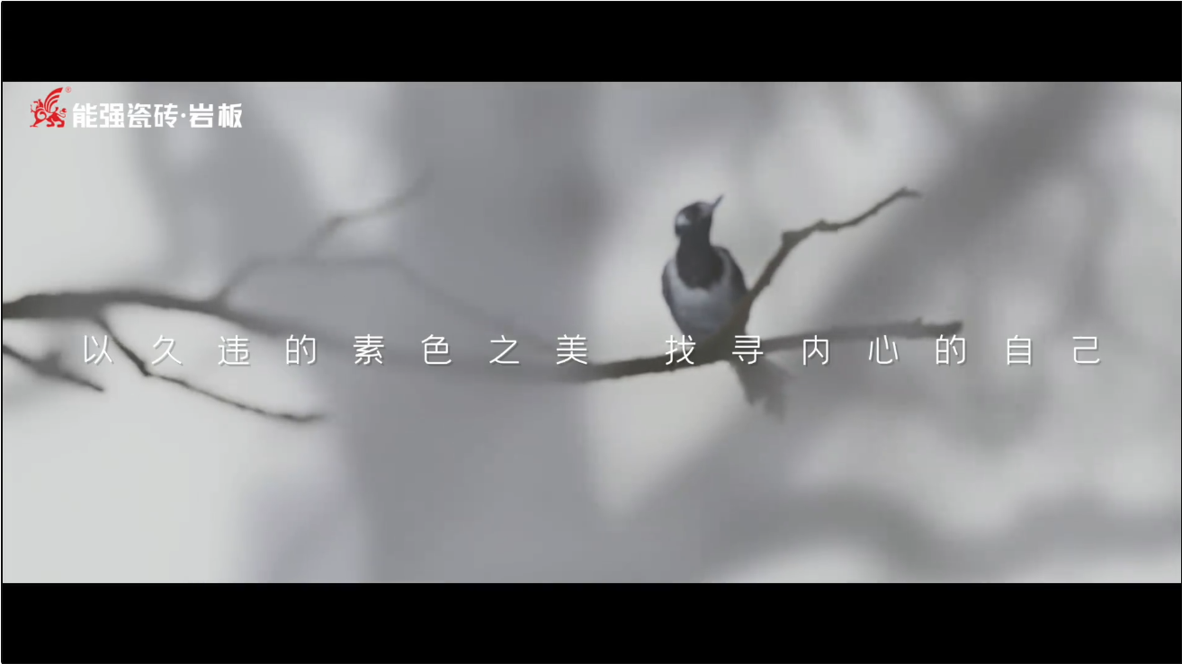 素巖系列 | 以素色之美，找尋內(nèi)心的自己